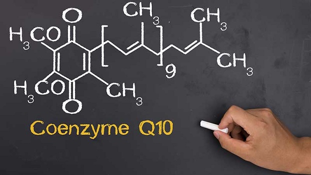 Coenzyme có vai trò gì trong quá trình hoạt động của enzym?
