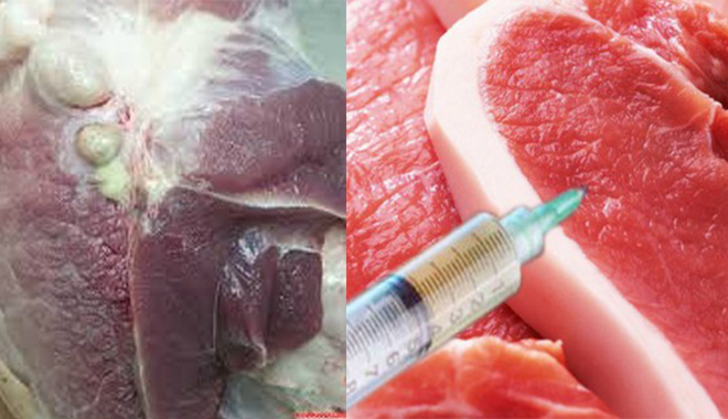 Nên biết cách phân biệt thịt lợn sạch và thịt lợn bị nhiễm bệnh
