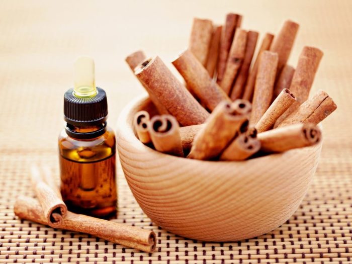 Những lợi ích không nên bỏ qua từ tinh dầu quế