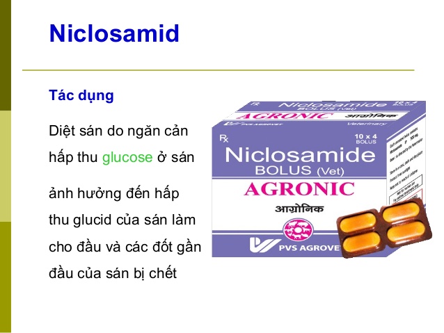 Niclosamid là thuốc gì? Liều dùng & Cách dùng thuốc an toàn
