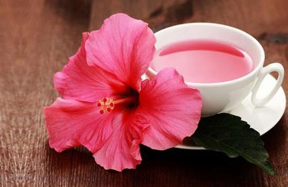 Phát hiện mới trong quá trình điều trị ung thư vú của hoa dâm bụt