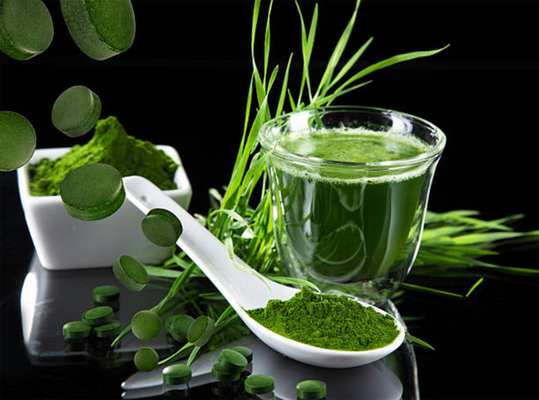 Tảo Spirulina là gì? Tác dụng của tảo Spirulina đối với sức khỏe