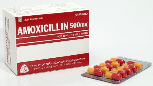 Tìm hiểu về tác dụng của thuốc Amoxicillin
