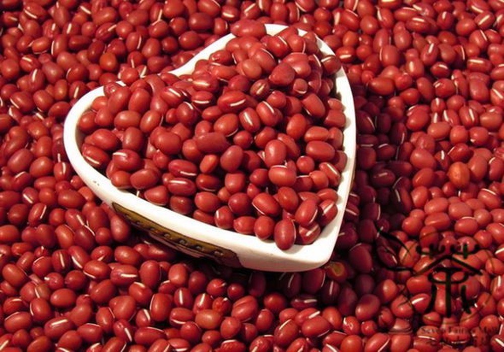 Tổng hợp những công dụng tuyệt vời của đậu đỏ