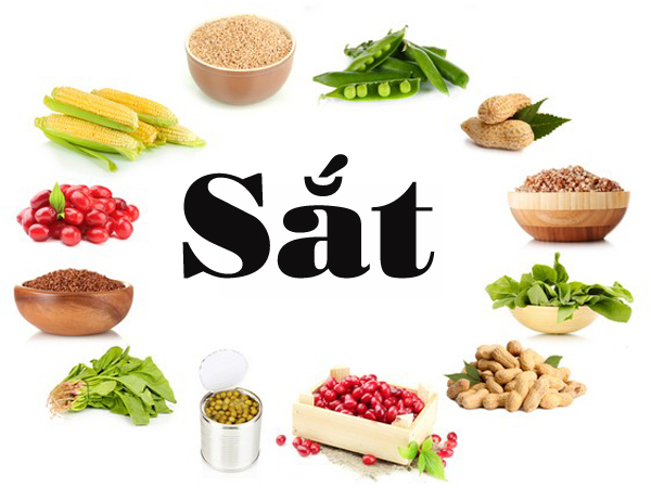 Ăn gì có chất sắt? – Điểm danh những thực phẩm chứa nhiều sắt