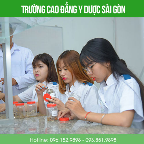 Trách nhiệm của dược sĩ và cơ hội của ngành Dược như thế nào?