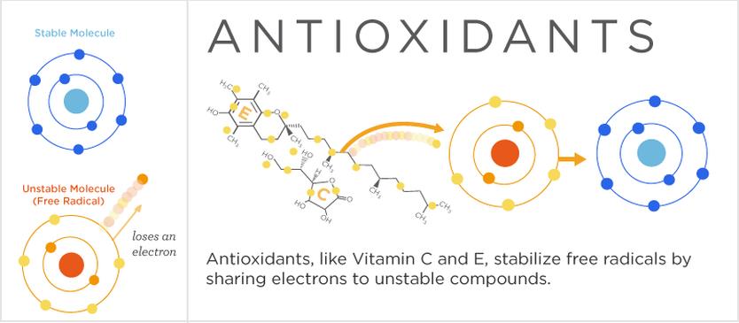 Antioxidant là gì? Thông tin về công dụng và liều dùng tương ứng 1