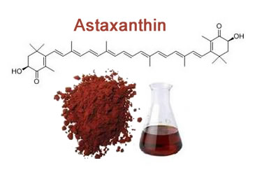 Astaxanthin là gì? Tìm hiểu kỹ về thông tin về thuốc astaxanthin 1