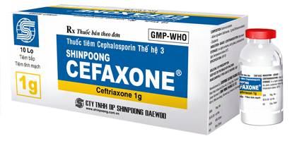 Thuốc Cefoperazon và những thông tin liên quan 1