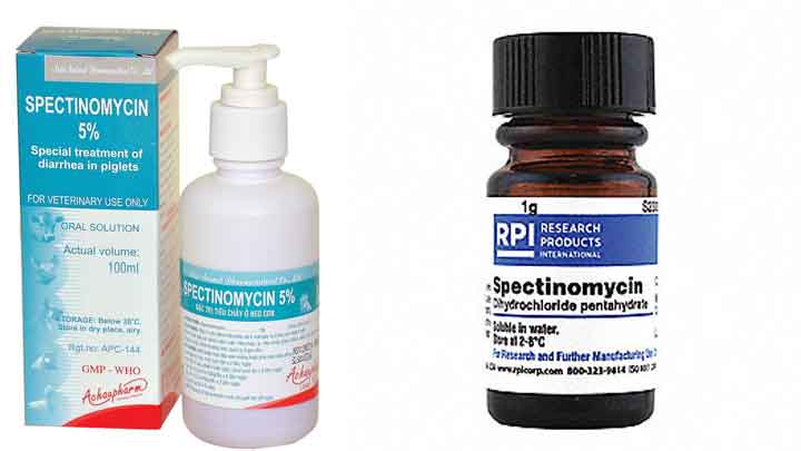 thuoc-spectinomycin-2