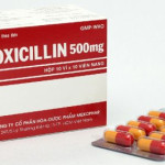 Tìm hiểu về tác dụng của thuốc Amoxicillin