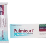 Hướng dẫn cách sử dụng thuốc Pulmicort® an toàn