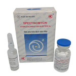 Hướng dẫn liều dùng thuốc Spectinomycin an toàn
