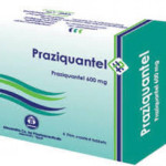 Liều dùng thuốc Praziquantel điều trị bệnh như thế nào?