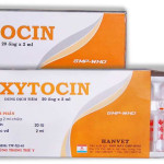 Thuốc Oxytocin có tác dụng như thế nào?