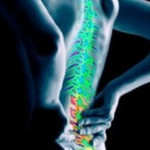 Tìm hiểu về bệnh lý xơ cứng cột bên teo cơ