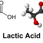 Axit lactic là gì? - Tìm hiểu thêm về công dụng của Axit lactic