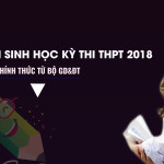 Đáp án môn Sinh học chính thức của Bộ GD&ĐT kỳ thi THPT Quốc Gia 2018