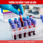 Học liên thông Cao đẳng Y Dược có lớp học buổi tối không?