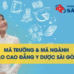 Mã trường và mã ngành đào tạo Cao đẳng Y Dược Sài Gòn 2018