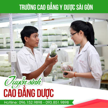 Ngành Dược học là gì? Ngành Dược có phải là ngành HOT hay không?