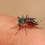 Những biến chứng do bệnh sốt xuất huyết để lại