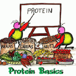 Protein là gì? Tầm quan trọng của Protein đối với sức khỏe