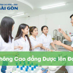 Tìm hiểu Liên thông Cao đẳng Dược lên Đại học được hay không?